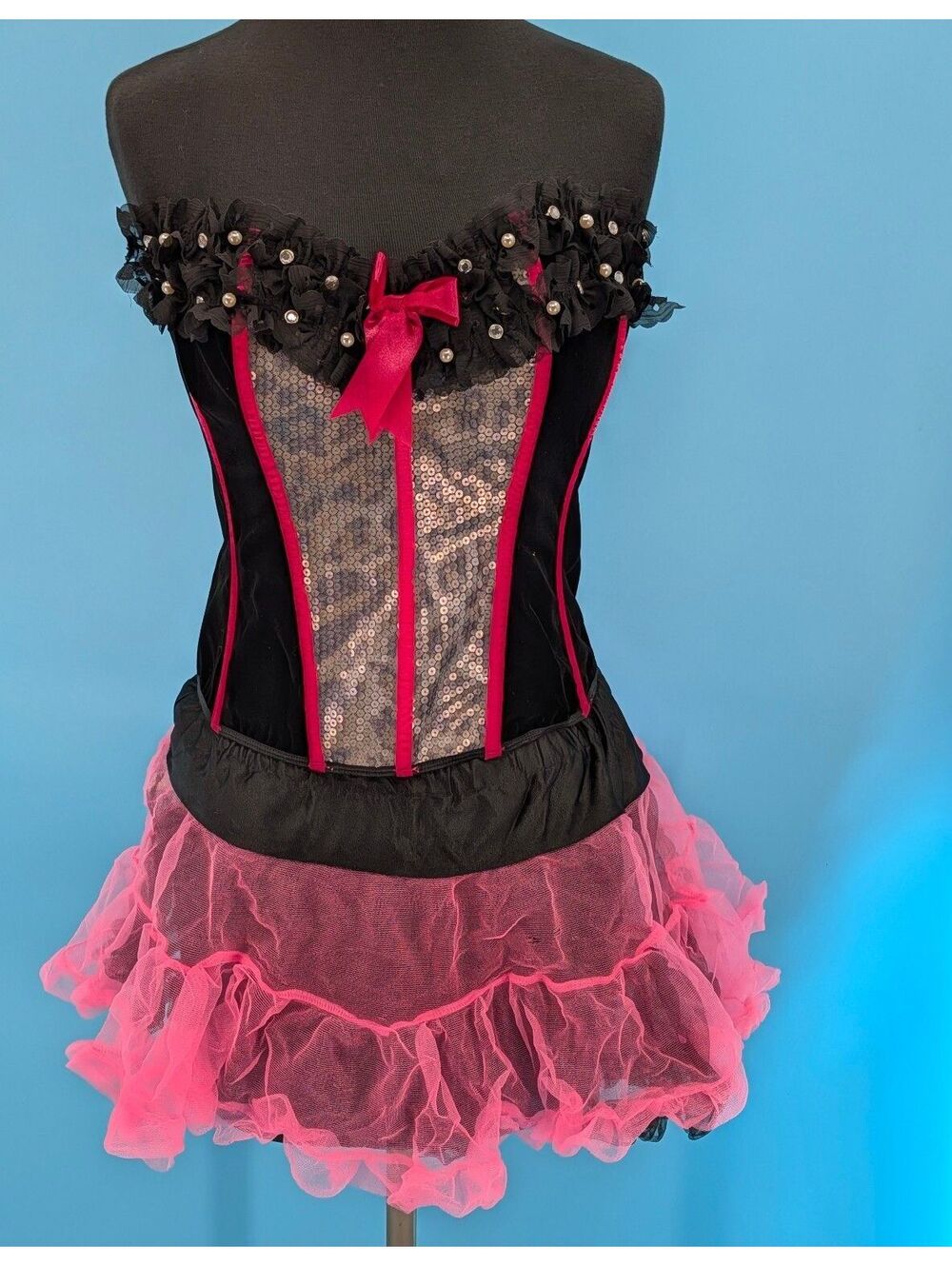 Dreamgirl On the Wild Side Bustier & Tutu skirt New Size 36 & One size